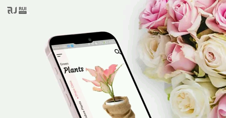 Flowers Plants 